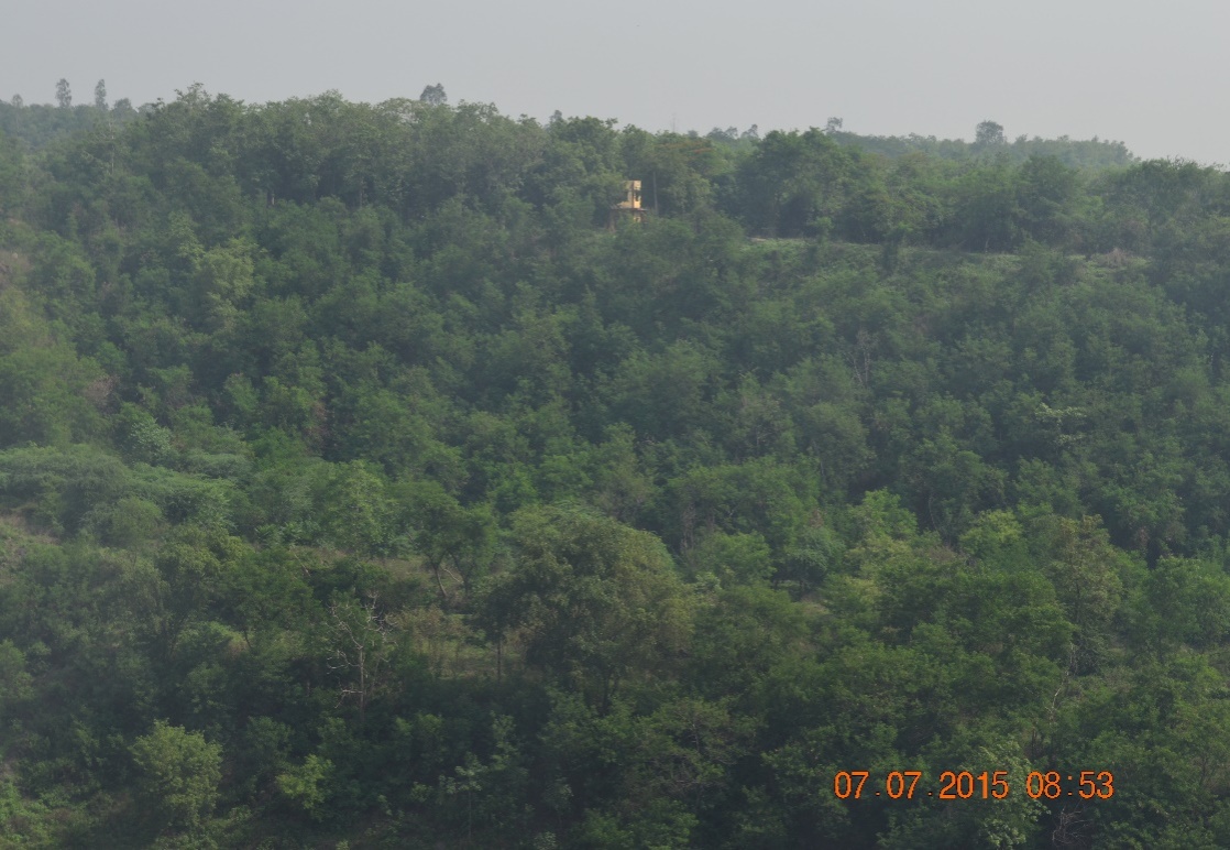 Plantation on Gevra OB Dump of SECL