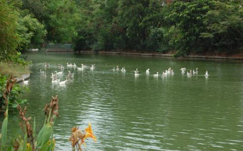 Lake Developed in Mine Dump