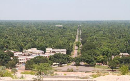 Greenbelt Development Township- 23 lakh Tree Plantation Covering 20000 Residential Buildings