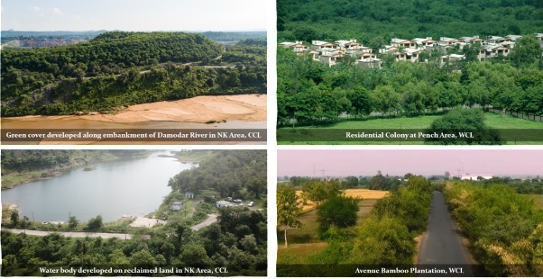ग्रीन कवर का सृजन