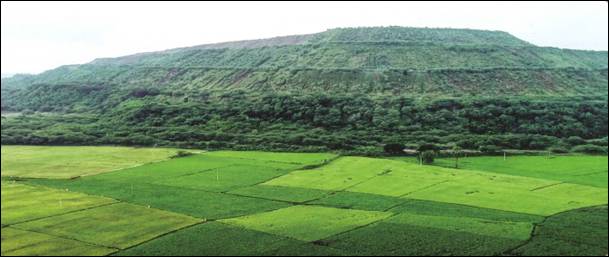 Agriculture fields getting benefitted by mine water near a SCCL mine