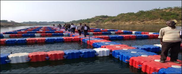 Fish Cages