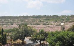 Drainage Management in Mine Dumps