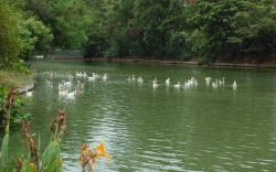 Lake Developed in Mine Dump